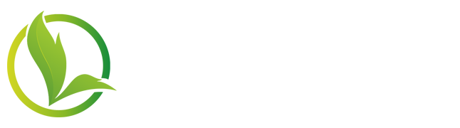 playflow