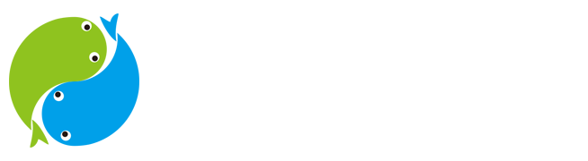 playdash