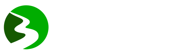 playverve