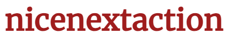 nicenextaction logo