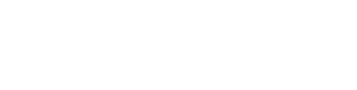 gamevividx