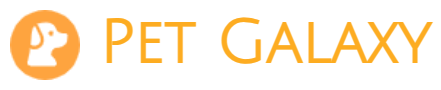 http://playcredo.com