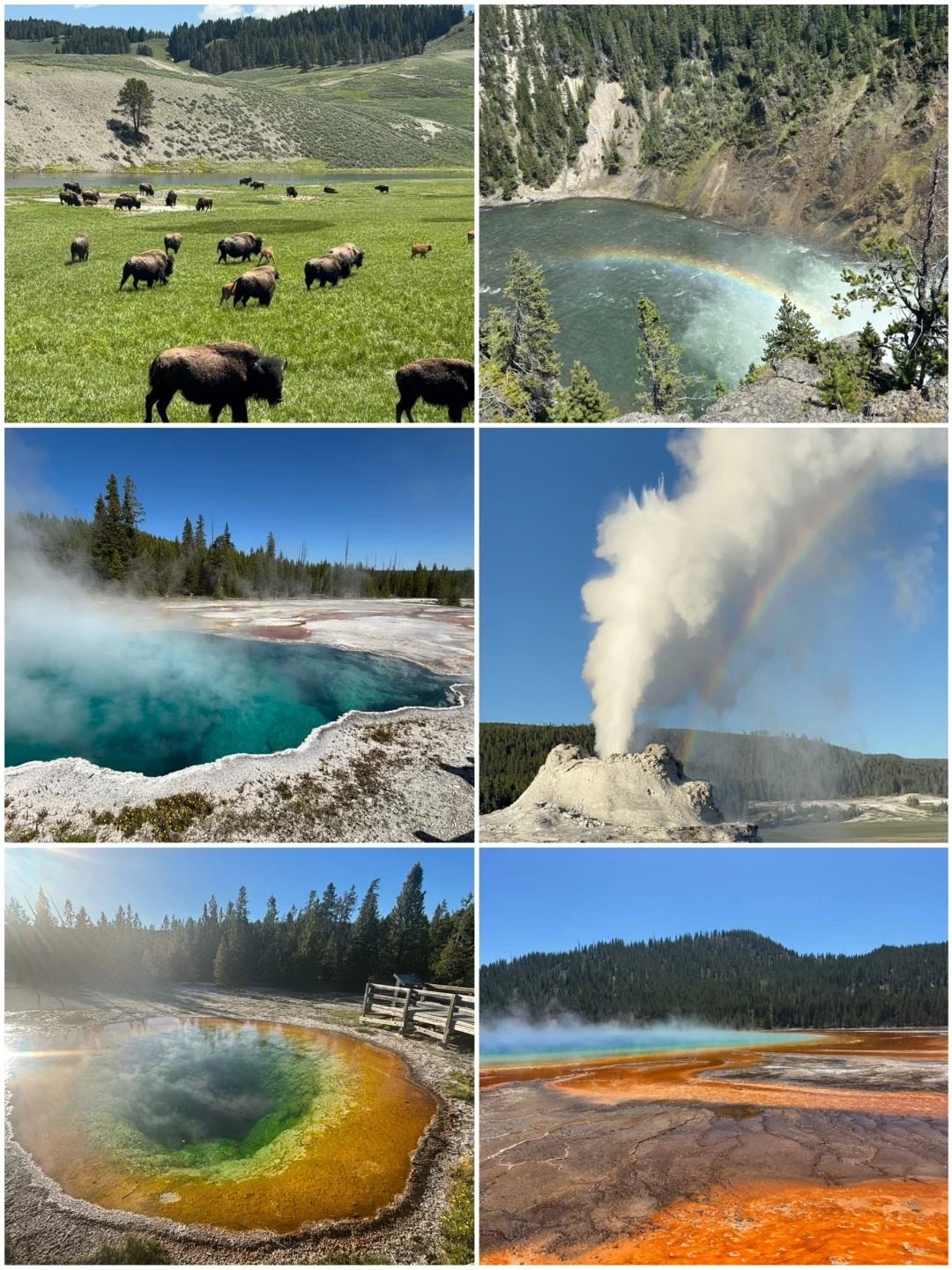 Trip to Yellowstone: A Practical 5-Day Itinerary, Costs, and First-Hand Experience