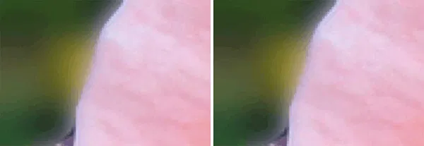 imagecompression-lossless imagecompression-lossless