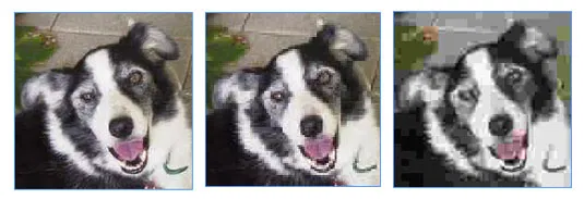 imagecompression-lossy imagecompression-lossy