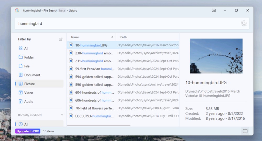 Search window