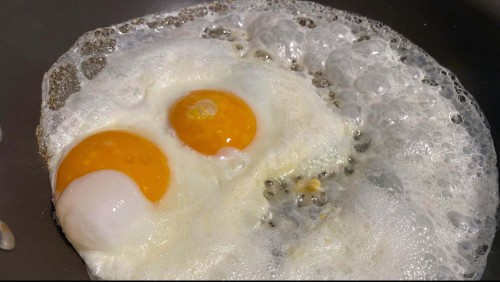 Lifehacker Image