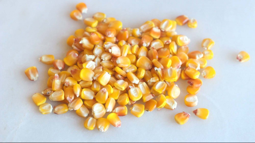 Bougie-ass corn