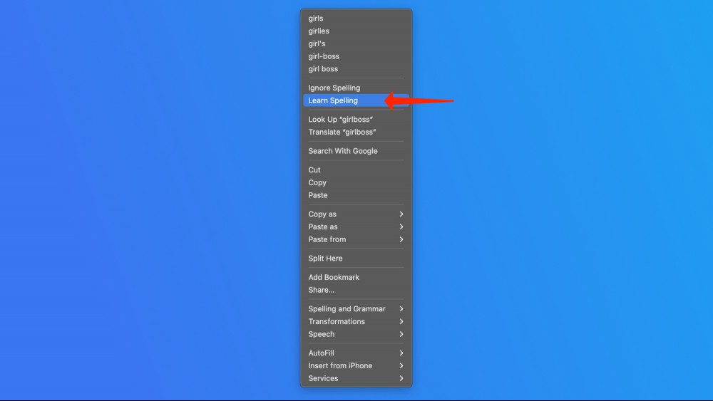 A screenshot of the Learn Spelling feature on the Mac.