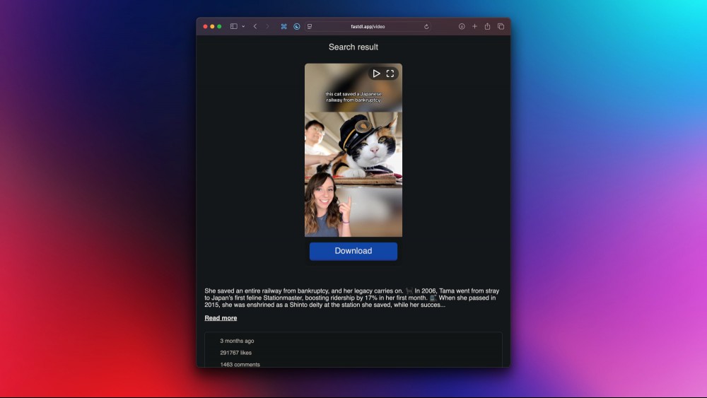 Downloading an Instagram video from FastDL's website