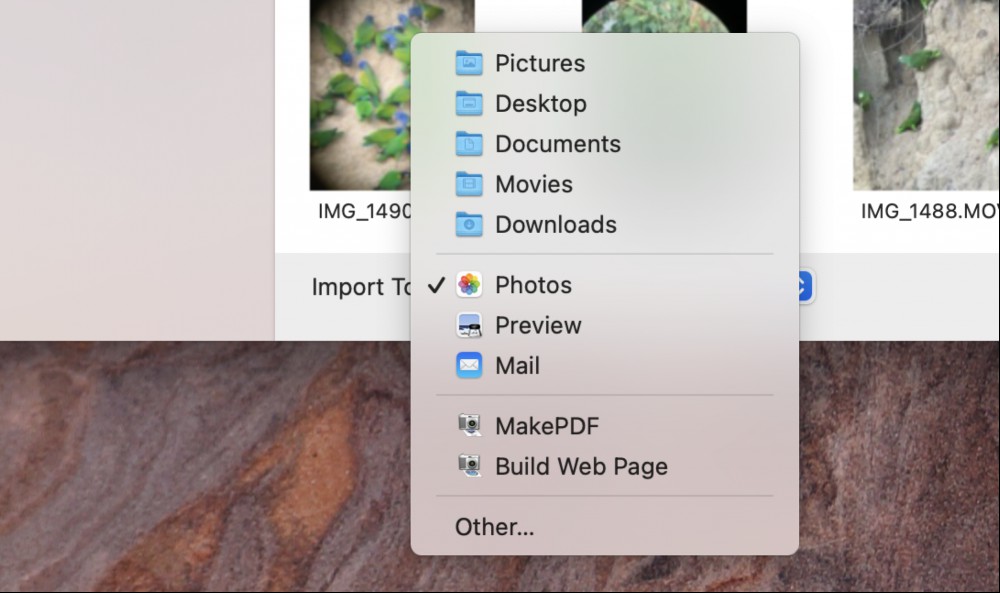 The "Import To" drop down lets you decide which photo or application to import photos to