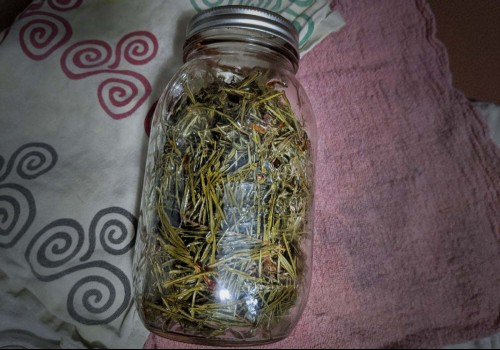 Lifehacker Image
