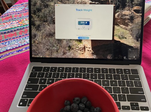 A bowl of blueberries sidding on a Macbook trackpad, the weight shown on the screen.