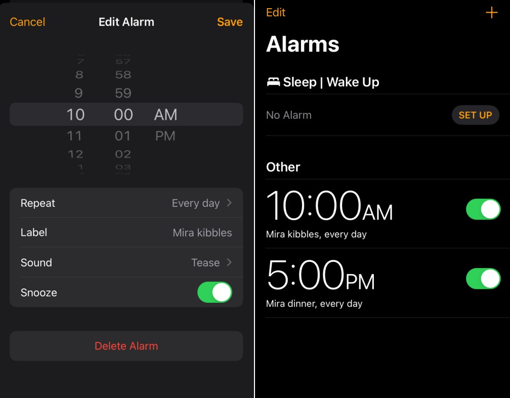 Two screenshots from the Clock app on iPhone. The first shows the alarm being created, with time and name; the second shows two named alarms.