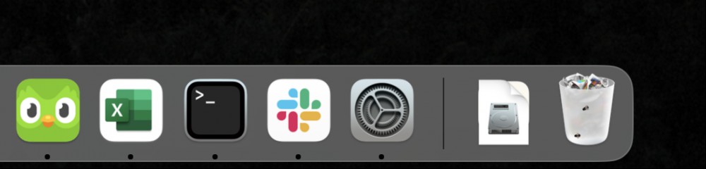Again, it's a Mac dock but with flies on the trash can.