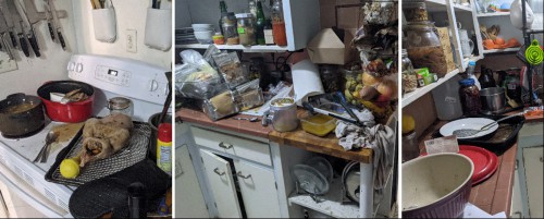 The kitchen, after the Gala Goose. 