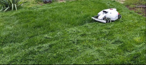 Mammotion Luba 2 is hands down the most consistent mower I've tried