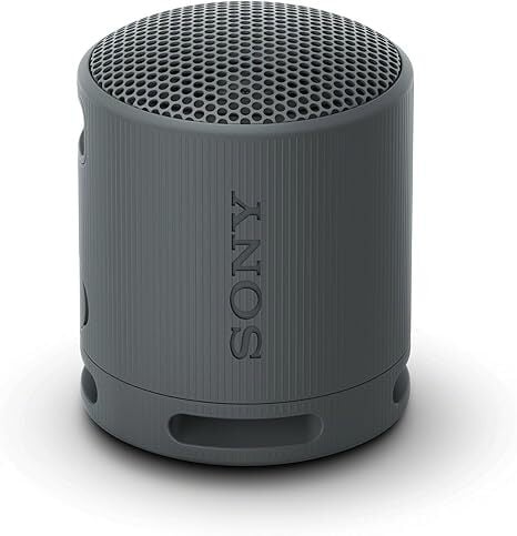 Sony SRS-XB100 Wireless Bluetooth