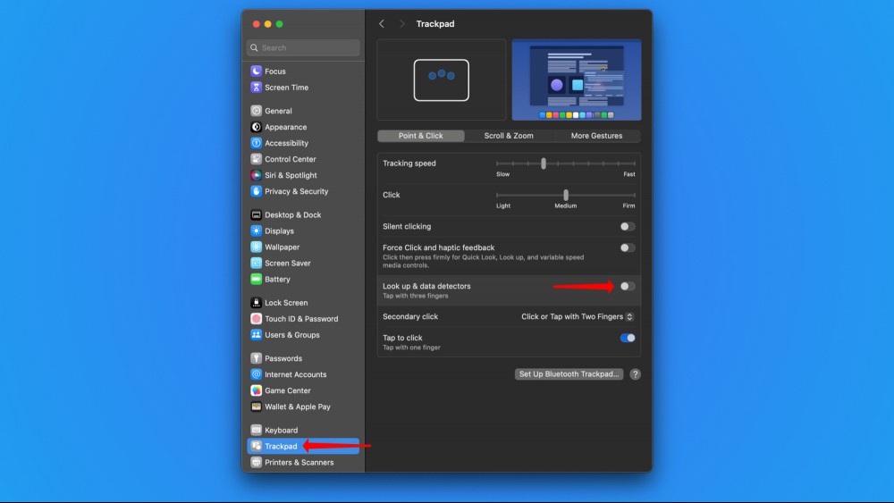 A screenshot of macOS' System Settings, showing how to disable the LookUp gesture.