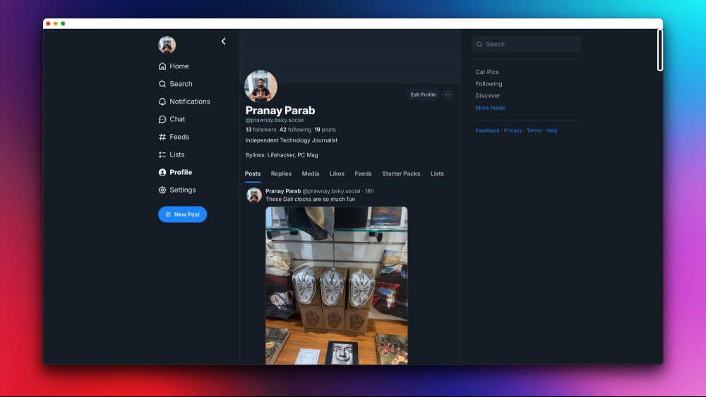 Sky.app, a Mac app for Bluesky, showing the author's Bluesky profile.