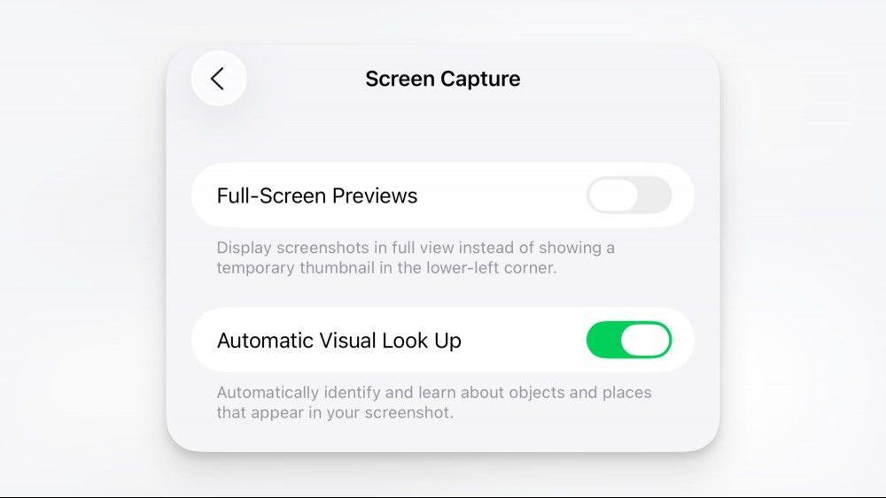 Disable Automatic Visual Look Up for iPhone.