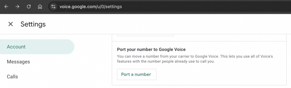 Port number google voice