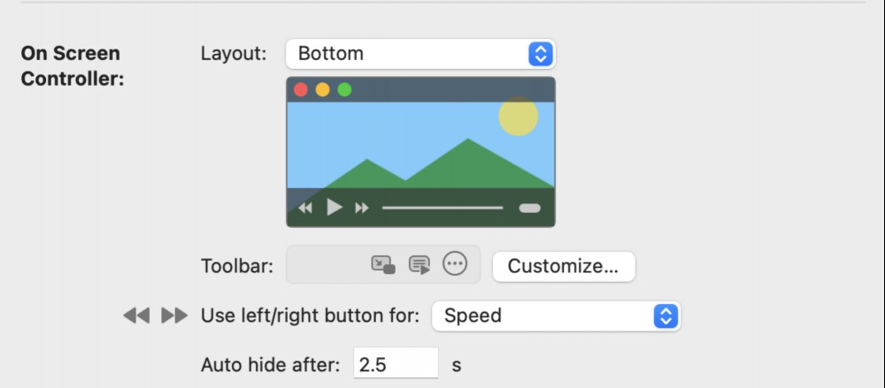 Changing UI settings in IINA.