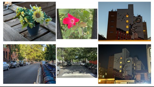 Photos taken on the Pixel 9