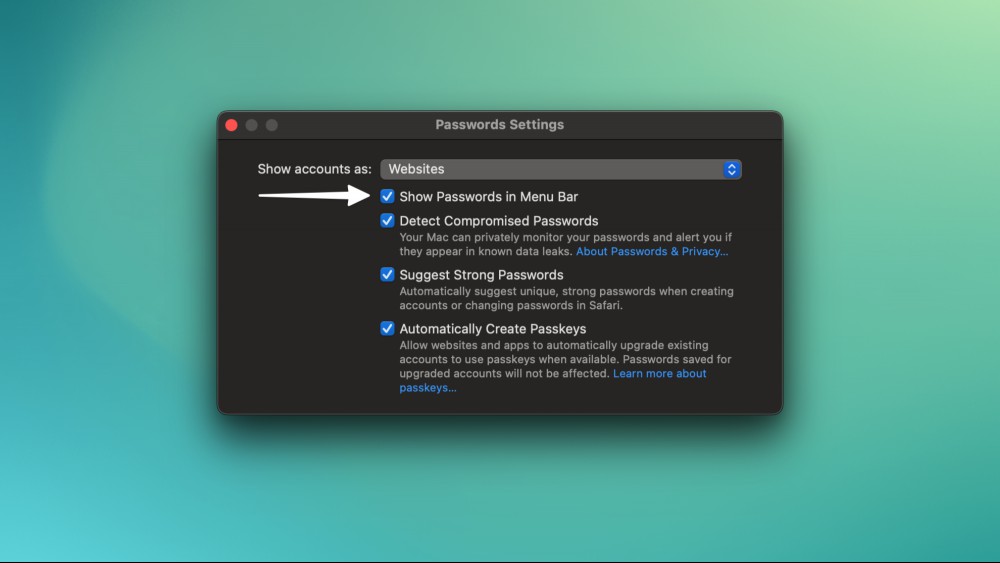 The Apple Passwords settings page on a Mac, showing the option to add the app to the menu bar.