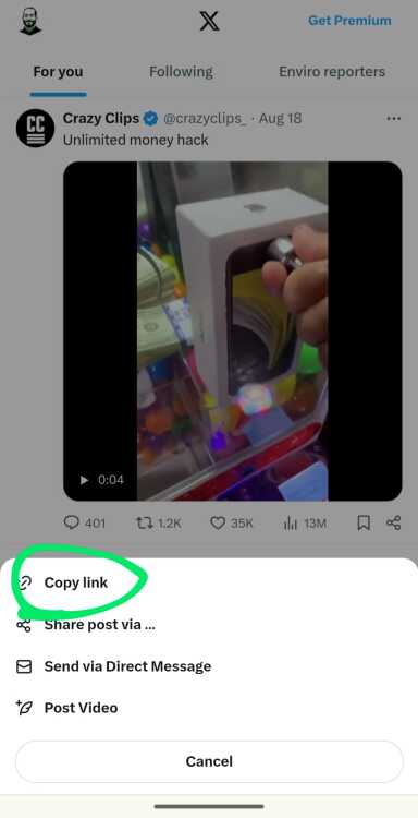 Select "Copy link."