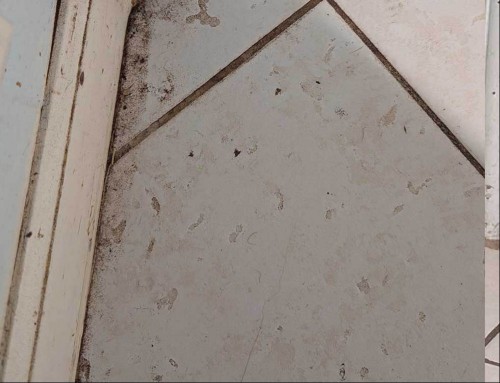 Band of unmopped dirt along the wall