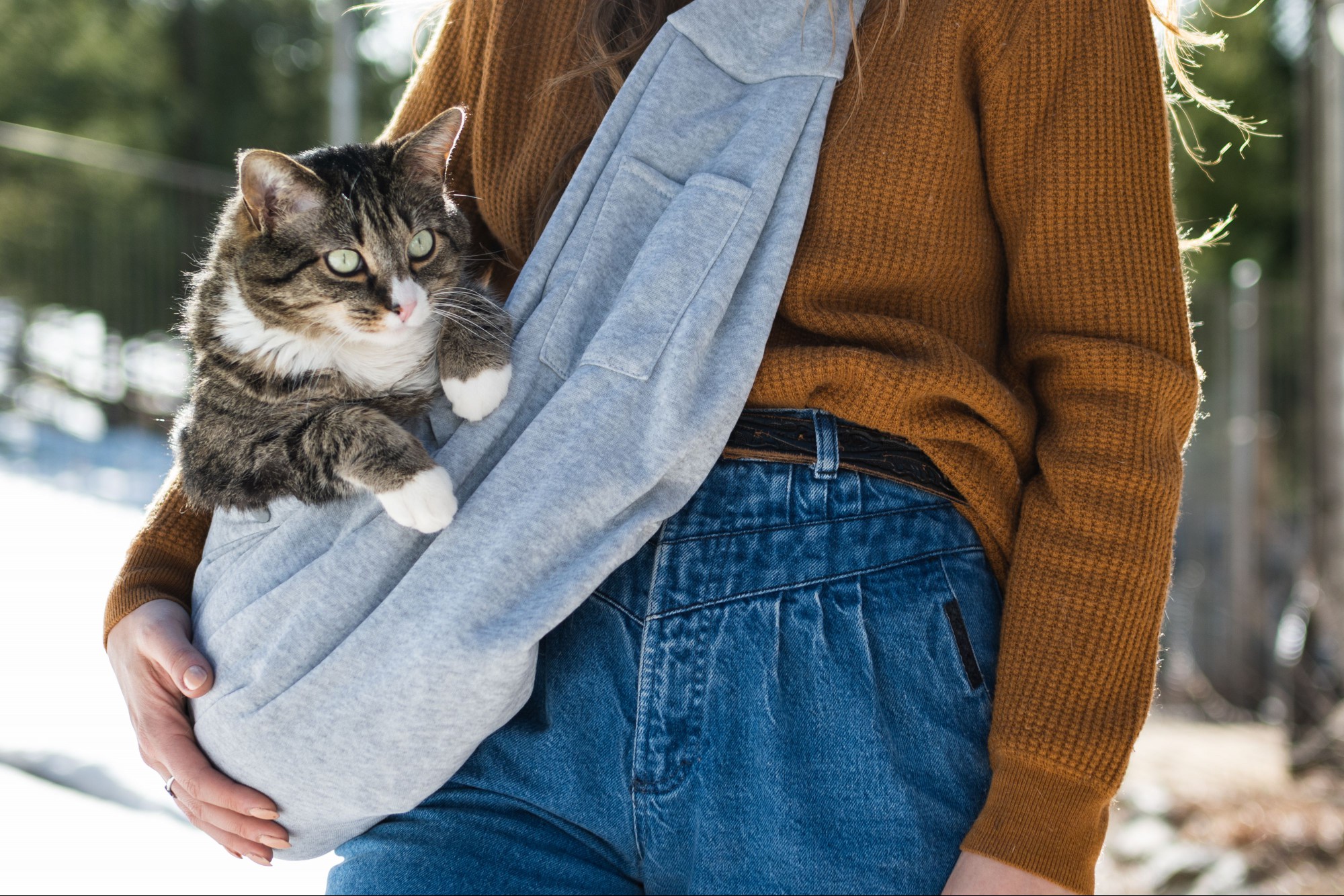 Gray pet carrier holding brown and white cat