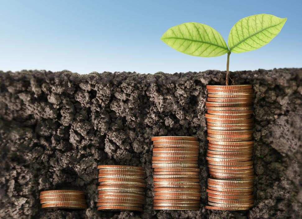 Investindo com Consciência Ambiental e Social: O Futuro dos Portfólios Sustentáveis Investindo com Consciência Ambiental e Social: O Futuro dos Portfólios Sustentáveis