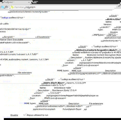 Chromium browser has very poor multimedia support.