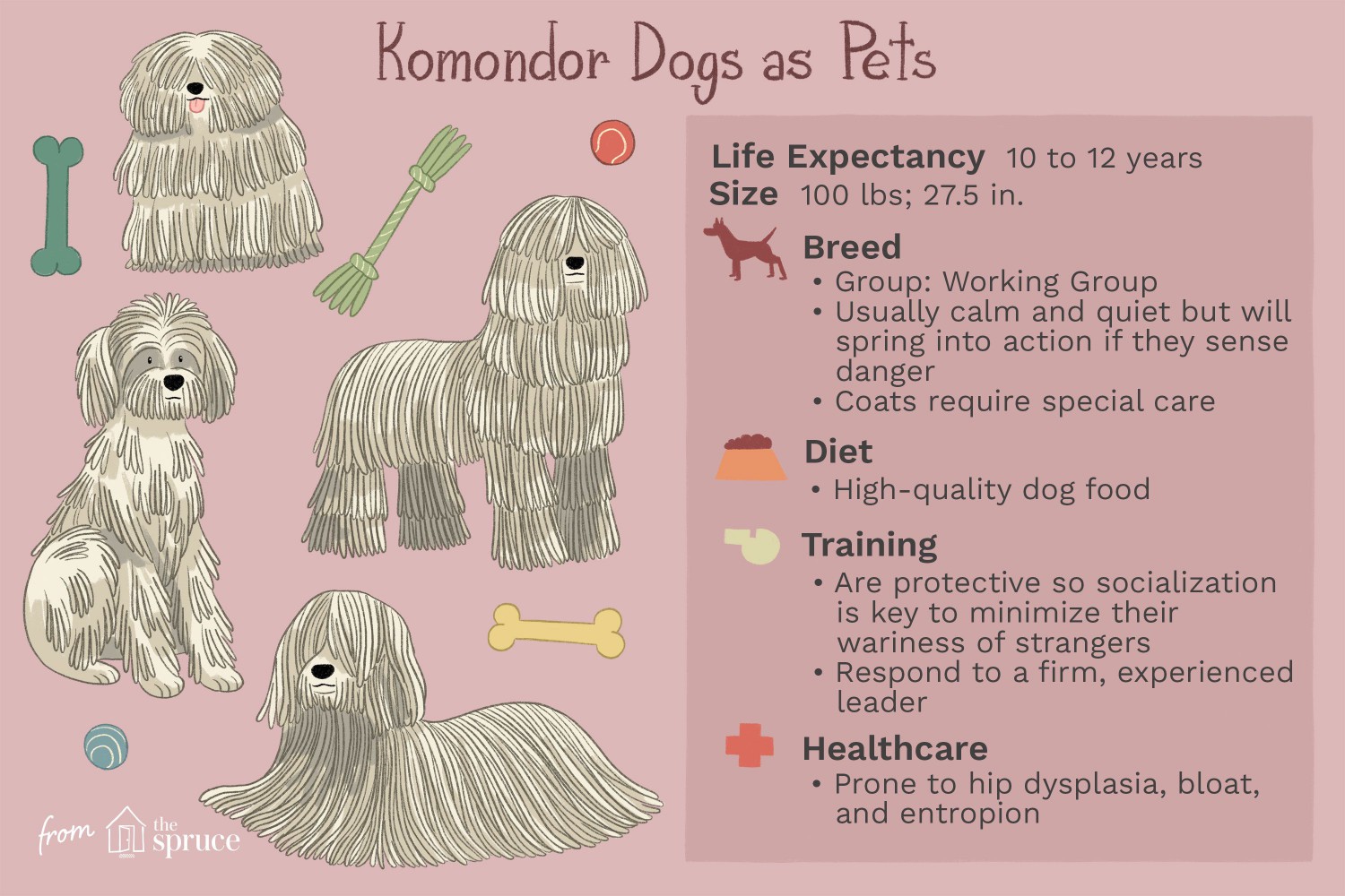 Komondor Dogs as Pets