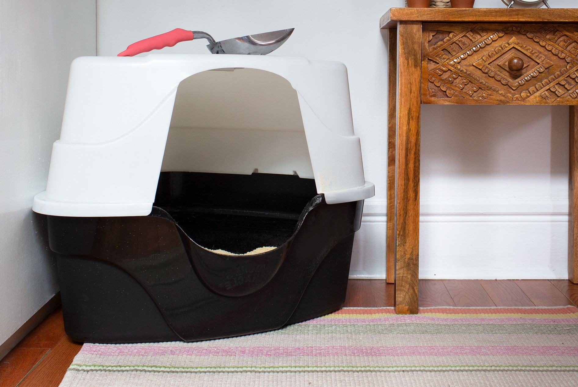 litter box in the corner of the room