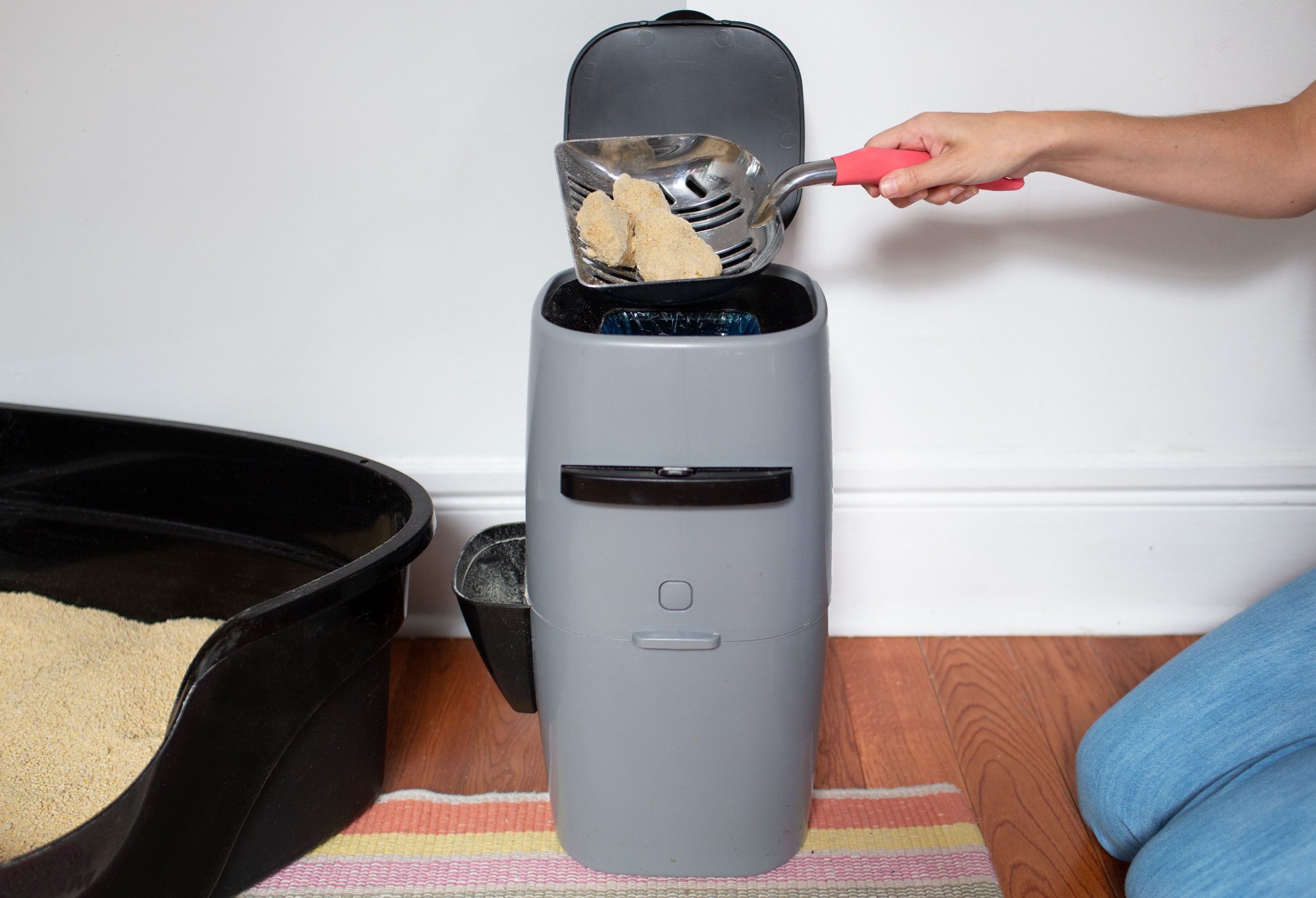 dumping out litter box waste