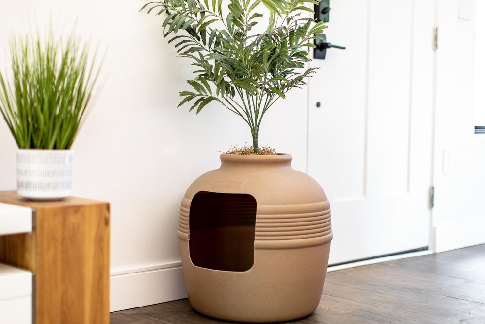 Decorative tan litter box with plant on top in hallway