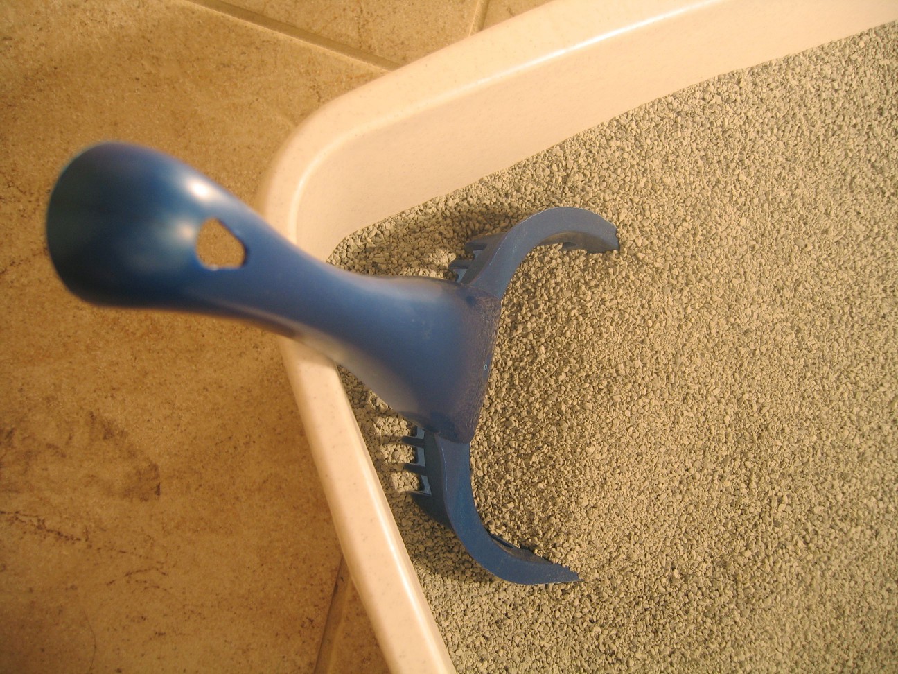 Clean litter box