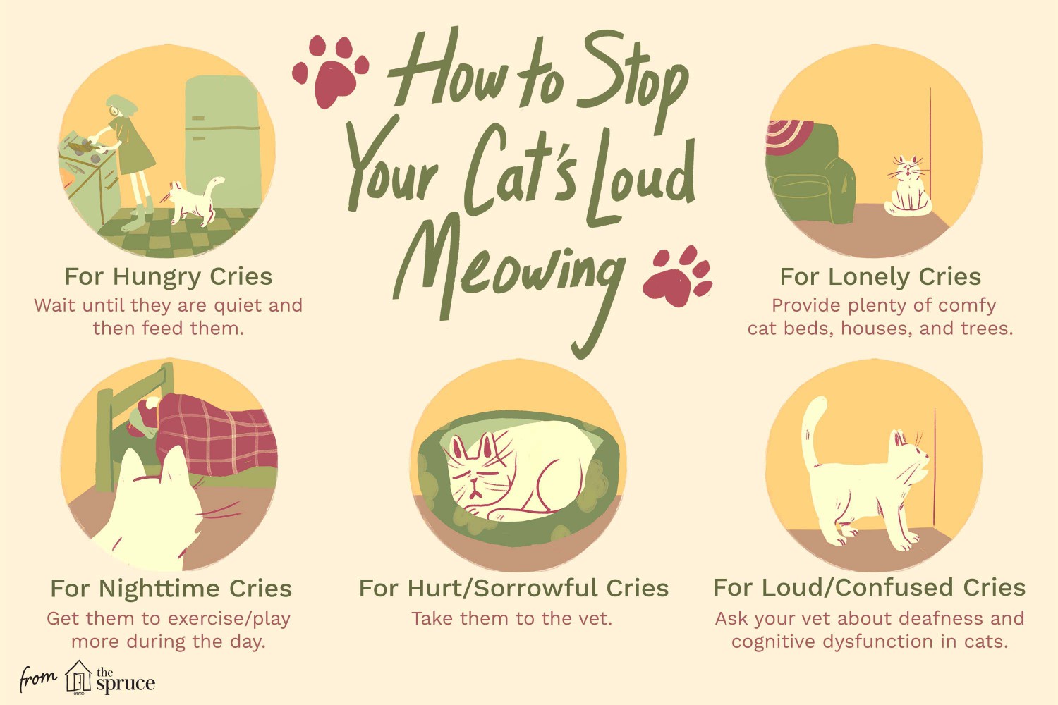 How to Stop Your Cat's Loud Meowing