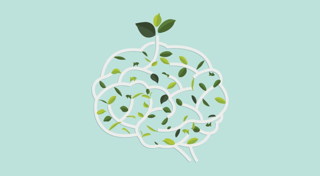 5 psychology rules every UX designer must know