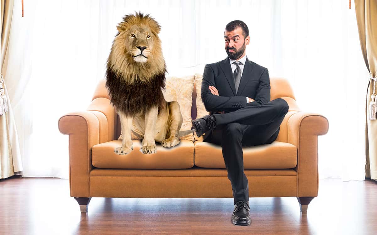 Riqueza e Bolsa Família: Como Usar os Recursos para Construir um Futuro Financeiro Sólido Riqueza e Bolsa Família: Como Usar os Recursos para Construir um Futuro Financeiro Sólido