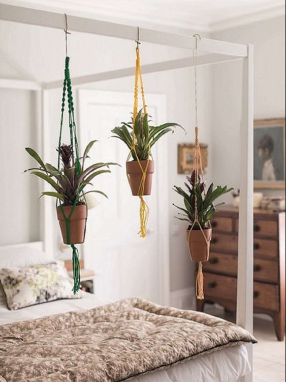 macrame plant hangers