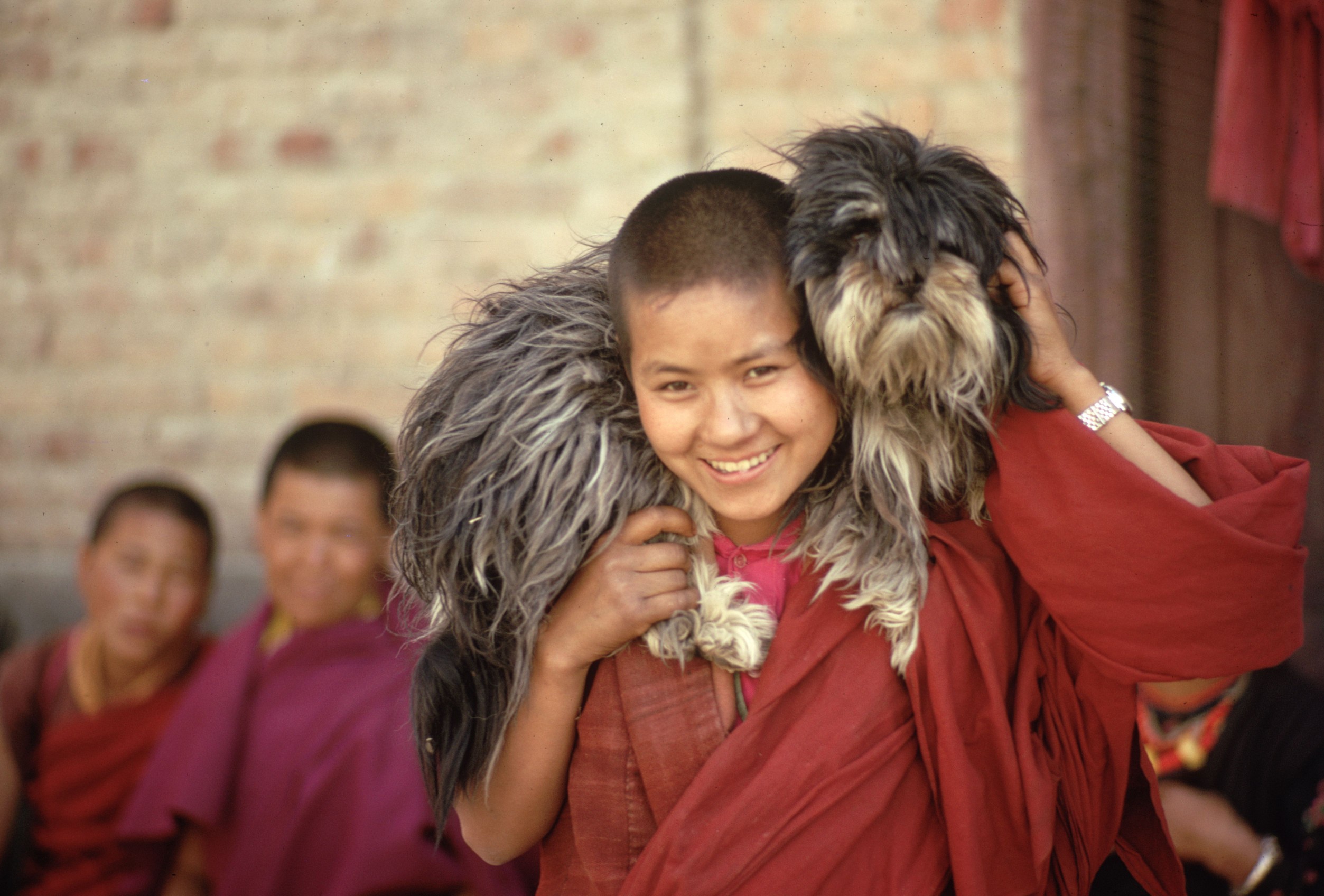 Monk with a Lhasa apso in 1976