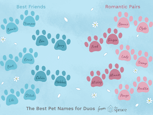 Name Ideas for Pairs of Pets