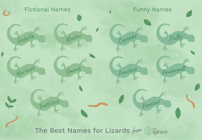 Names for Pet Lizards