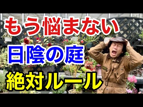 日陰でも咲く花15選！私が試したベスト品種と育て方のコツ