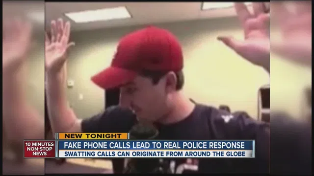 onlinereputation-swatting