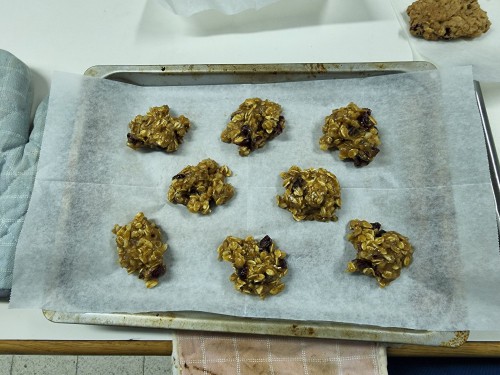 Chewy Cranberry Oatmeal Cookies