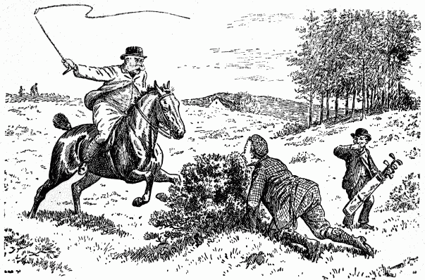 Horse at canter.
